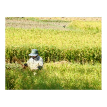 Rice Harvest Art Print by graffkeith Rice Harvest Art Print