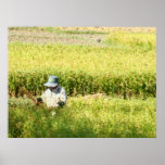 Rice Harvest Art Print