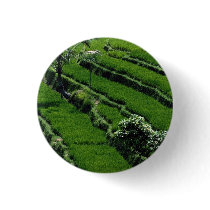Rice paddy fields, Bali, Indonesia Pins