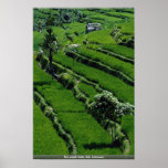 Rice paddy fields, Bali, Indonesia posters
