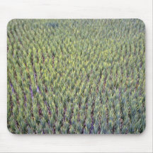 Rice paddy, Indonesia Mouse Pads