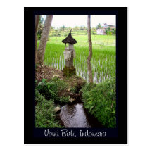 Rice Paddy, Temple, Ubud Bali, Indonesia Post Card