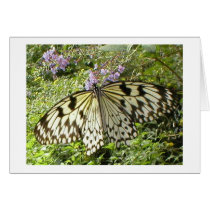 Rice Paper Butterfly cards