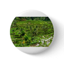 Rice terrace in Bali Button