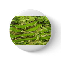 Rice terrace in Bali Button