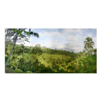 Ricefields posters
