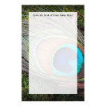 Rich, Elegant Peacock Feather Photograph stationery