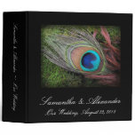 Rich Peacock Feather with Green Moss binders