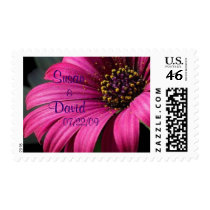 Rich Pink Gerber Daisy Wedding postage