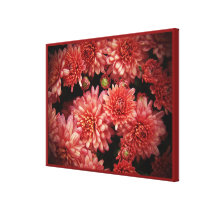 Rich Red Chrysanthemums Canvas Print