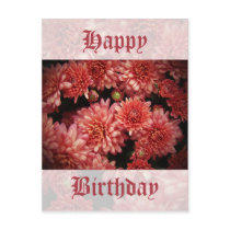 Rich Red Chrysanthemums Post Card