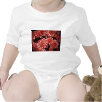 Rich Red Chrysanthemums T Shirt