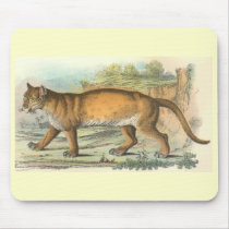 Richard Lydekker - Puma mousepads