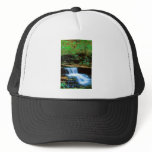 Ricketts Glen Falls hats