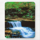 Ricketts Glen Falls Mouse Pads