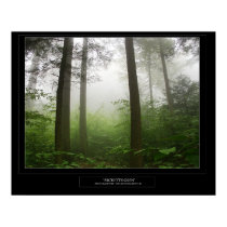 Ricketts Glen posters