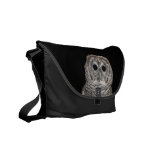 Rickshaw Messenger Bag: Beautiful barred owl