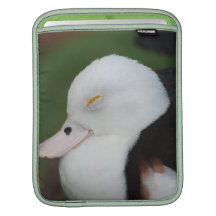Rickshaw Sleeve iPad Sleeves - Customized