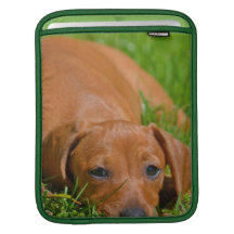 Rickshaw Sleeve iPad Sleeves - Customized