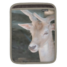Rickshaw Sleeve iPad Sleeves - Customized
