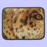 Rickshaw smartphone folio with Jaguar eye design planners