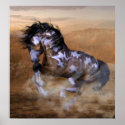Ride a Painted Pony posters