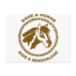 Ride A Senegalese Postcard