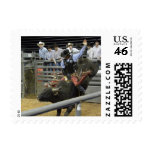 Ride em' Cowboy! Stamp