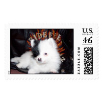 ride free lil puppy postage by hawgonahog ride free lil puppy postage