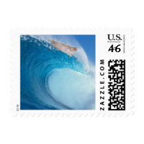 Ride the wave baby cat postage.