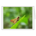 ride to smiles cards by blacqbook ride to smiles cards
