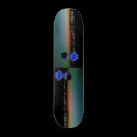 Ride to the limit skateboards by Scajax Ride to the limit skateboards