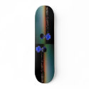 Ride to the limit skateboards