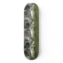 Ride with Wolves Skate Board Decks