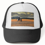 RIDER BENEATH A SISKIYOU SKY HDR TA MESH HAT
