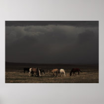 Riders Of The Storm posters