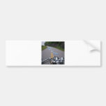 Ridin' The Blue Ridge2 Bumper Stickers