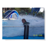 orka, disney, vacation, whale, show