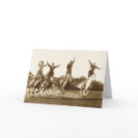 Riding High cards