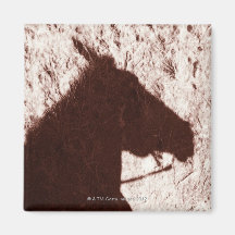 riding horse's head shadow on trail floor Jasper Fridge Magnet