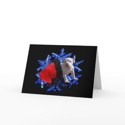 Riding in on a Snowflake Greeting Cards by KahunaLuna