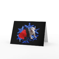 Riding in on a Snowflake cards by KahunaLuna Riding in on a Snowflake cards
