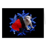 Riding in on a Snowflake Greeting Cards