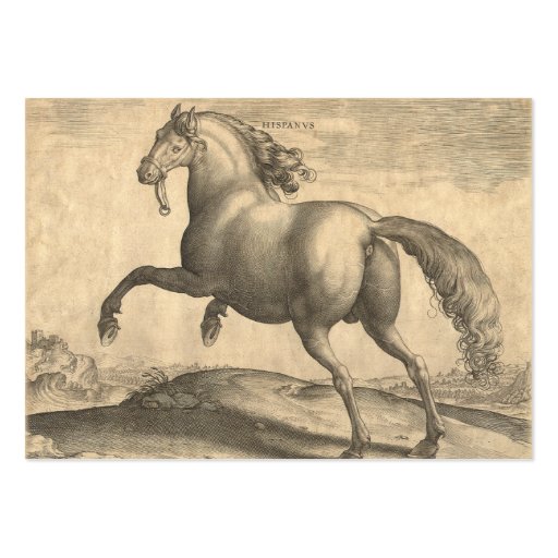 Riding Instructor Equestrian Antique Horse Vintage Business Card Templates (back side)
