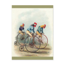 Riding Roosters postcards