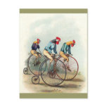 Riding Roosters Post Card