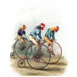 Riding Roosters Shirts