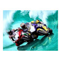 Riding the waves Poster posters