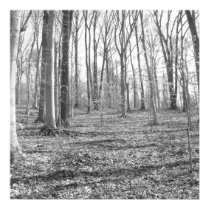 Ridley Creek State Park posters