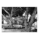 Ridvan Garden - ca. 1900 (01) Cards